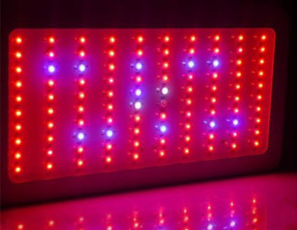 GalaxyHydro 300W LED grow light panel