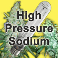 High Pressure Sodium bulb