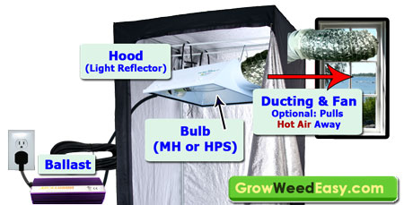How to Set Up Metal Halide (MH) or High Pressure Sodium (HPS) Grow Lights