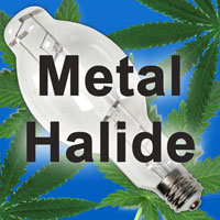 Metal Halide - MH for the vegetative stage of marijuana growth