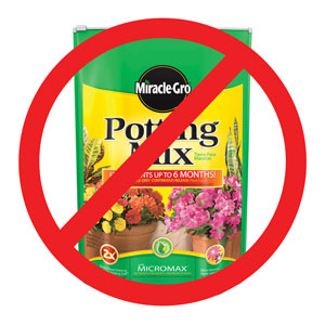 Never Use Miracle-Gro soil for growing cannabis - especially don't get any soils that have "extended release" nutrients!