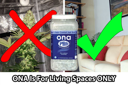 Ona products are great at covering up odors in your living spaces, but should never be placed near budding cannabis plants
