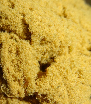 A close-up of the 73 hash