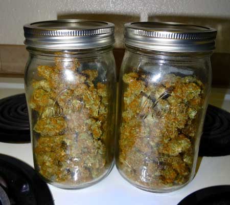 Sour Diesel auto-flowering buds in a jar